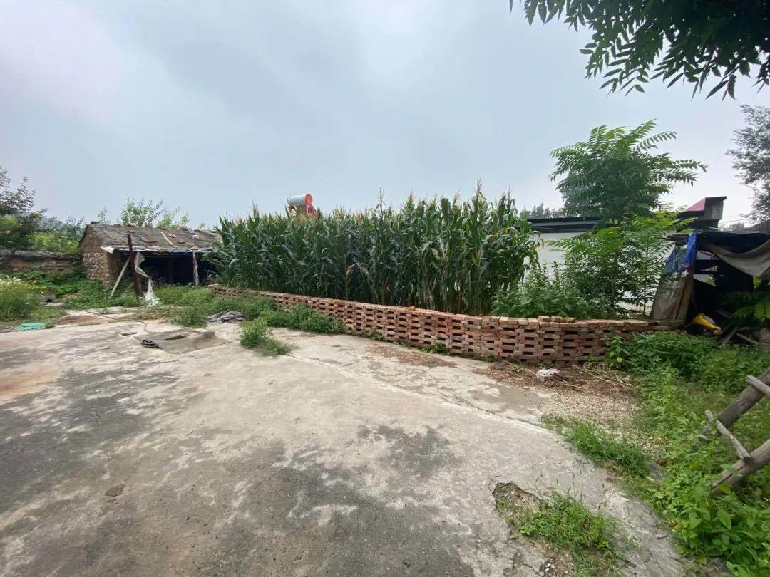 有人说北京农村院子年租金太高，5户农民网上出租院子揭价格真相