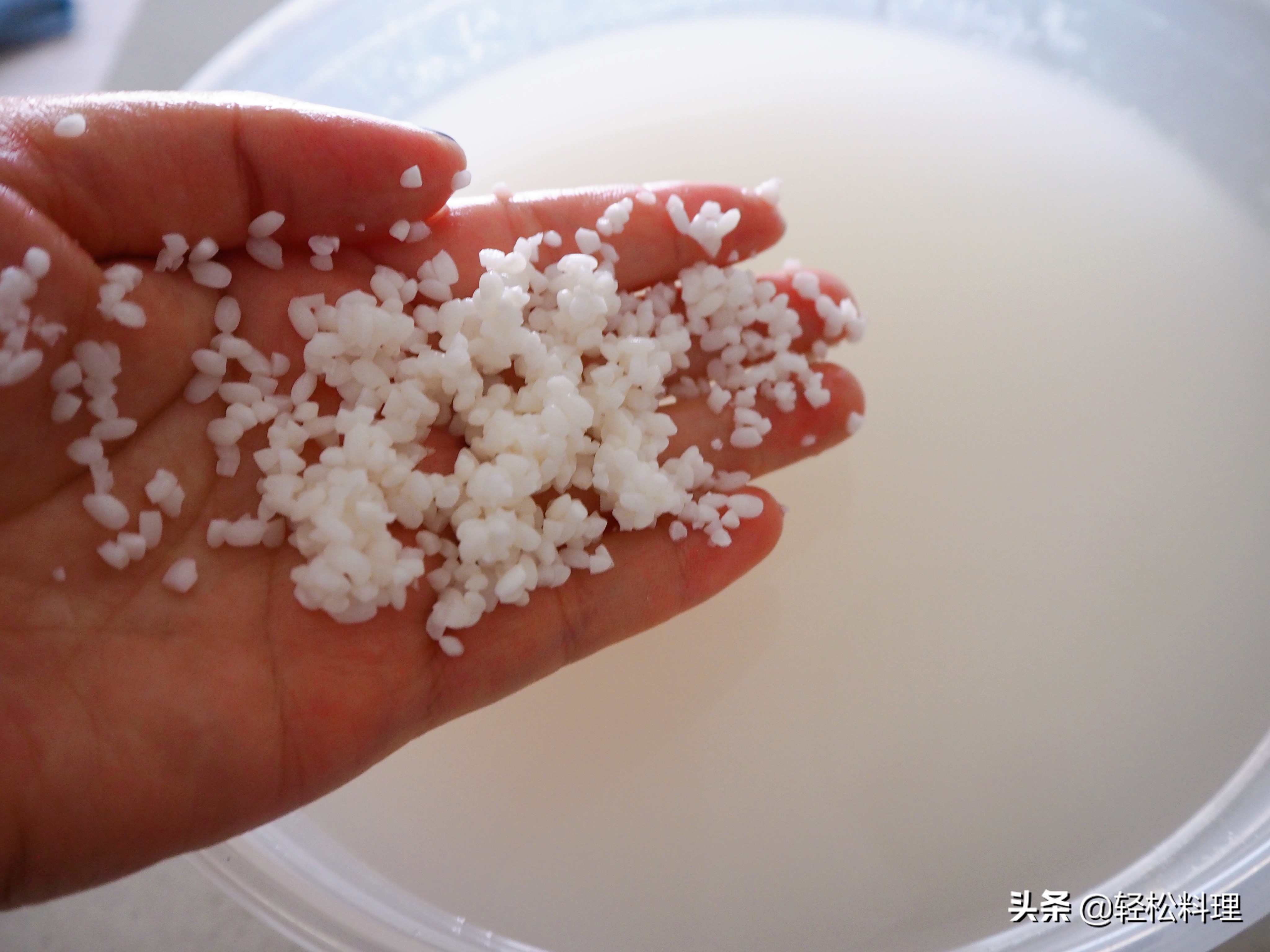 如何自酿米酒？真没你想象的那么难