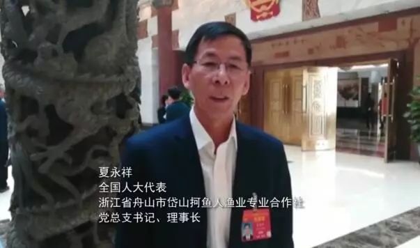 全国*会两**|尽一曲波澜壮阔，从“浙里”驾梦起航