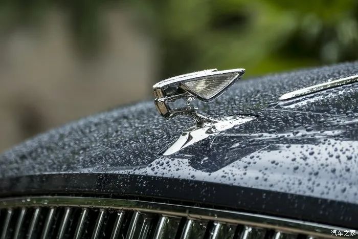 宾利飞驰对比迈巴赫s480气场,宾利飞驰街拍气场霸气视频