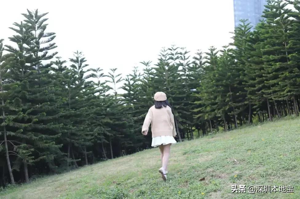 深圳最值得免费去的十大景点,深圳有哪些地方是免费景点