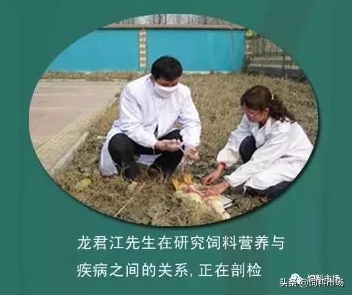 山东临沂牧原农牧有限公司,山东临沂大力发展智慧农业