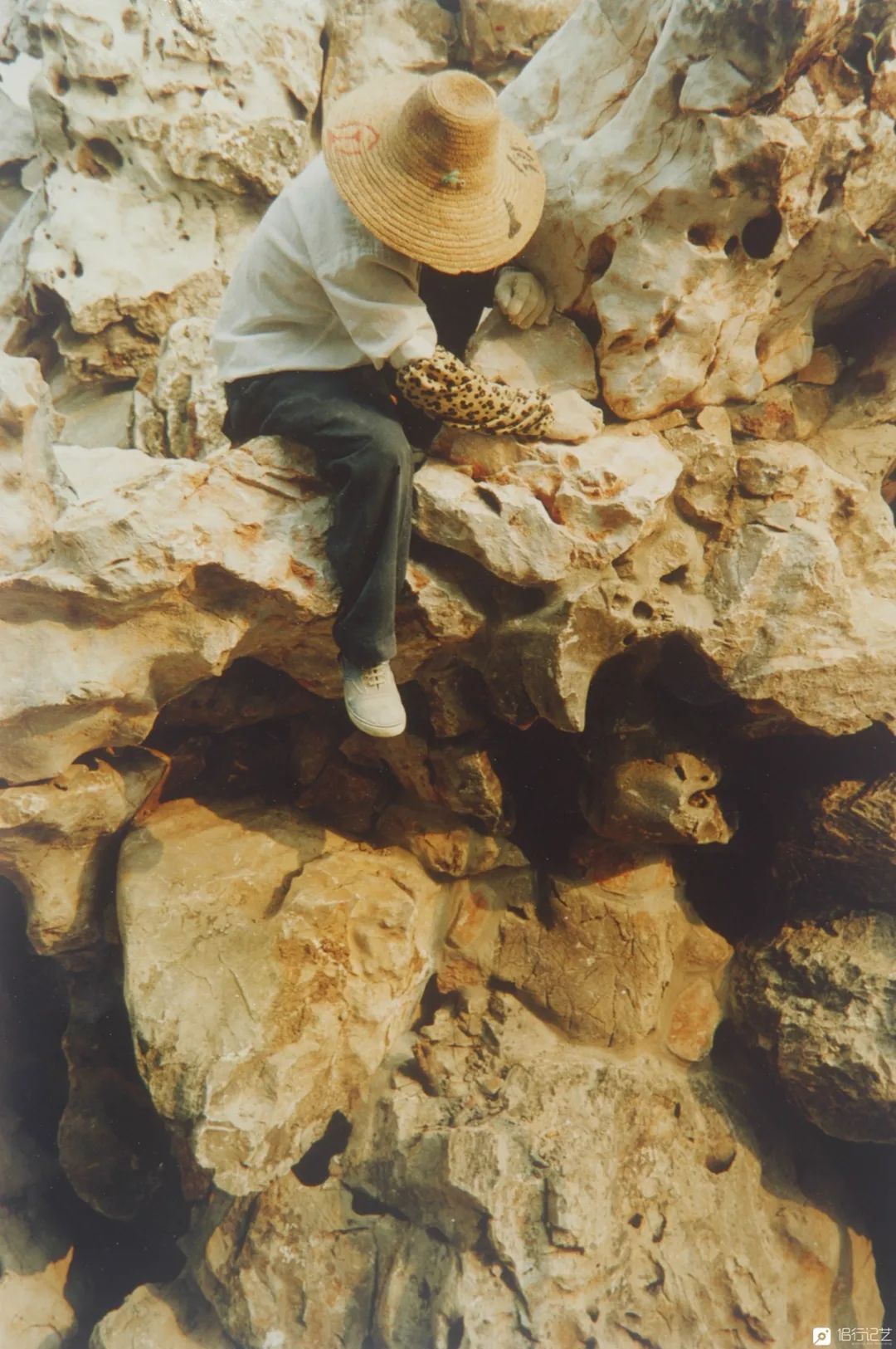 大叔花700万建的花园别墅,太湖石苏州