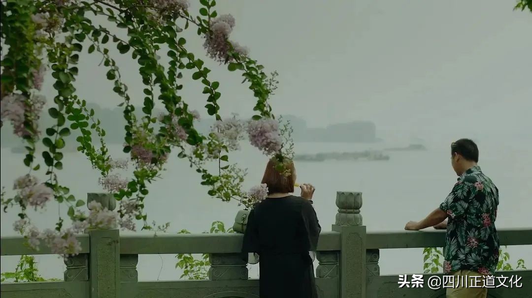 值得看的电影春天,春天的电影名字