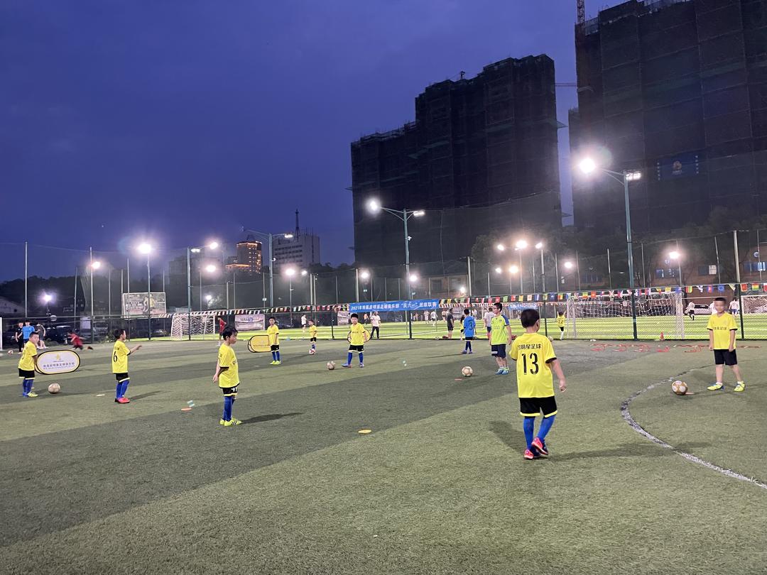 绿茵场上到处都是遗憾,绿茵场上的老将