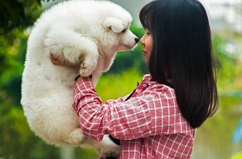 摸狗肚子为啥哼哼,摸狗肚子时它为什么咬你