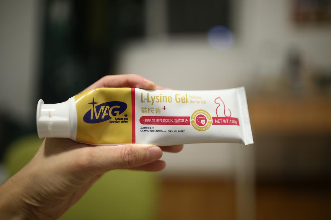 养猫干货方法与技巧,养猫干货视频教程全集