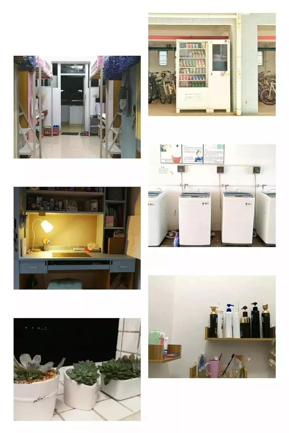 广东科学技术职业学院中专分数线,广东科学技术职业学院有本科嘛