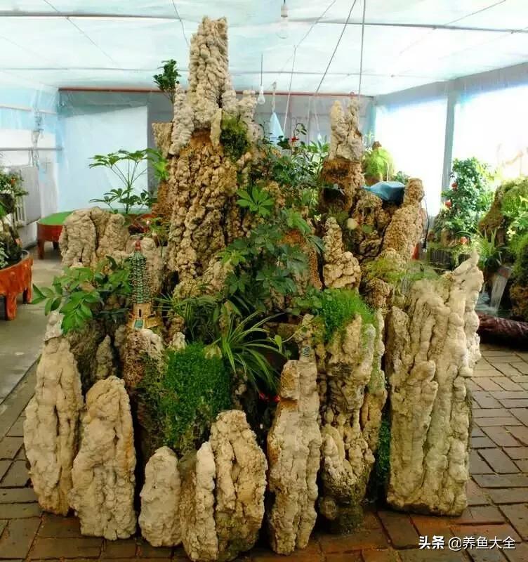 上水石盆景制作方法是什么,上水石盆景制作视频教程完整版