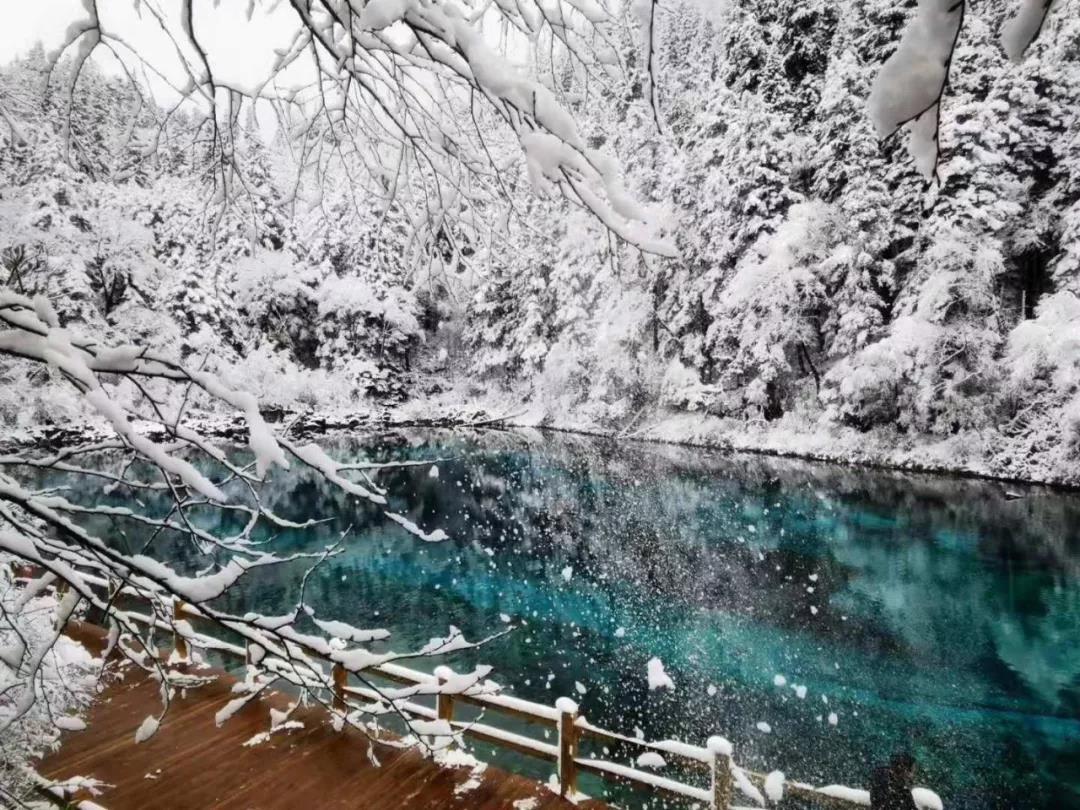 九寨沟旅游怎么购票 (九寨沟旅游散客如何购票)