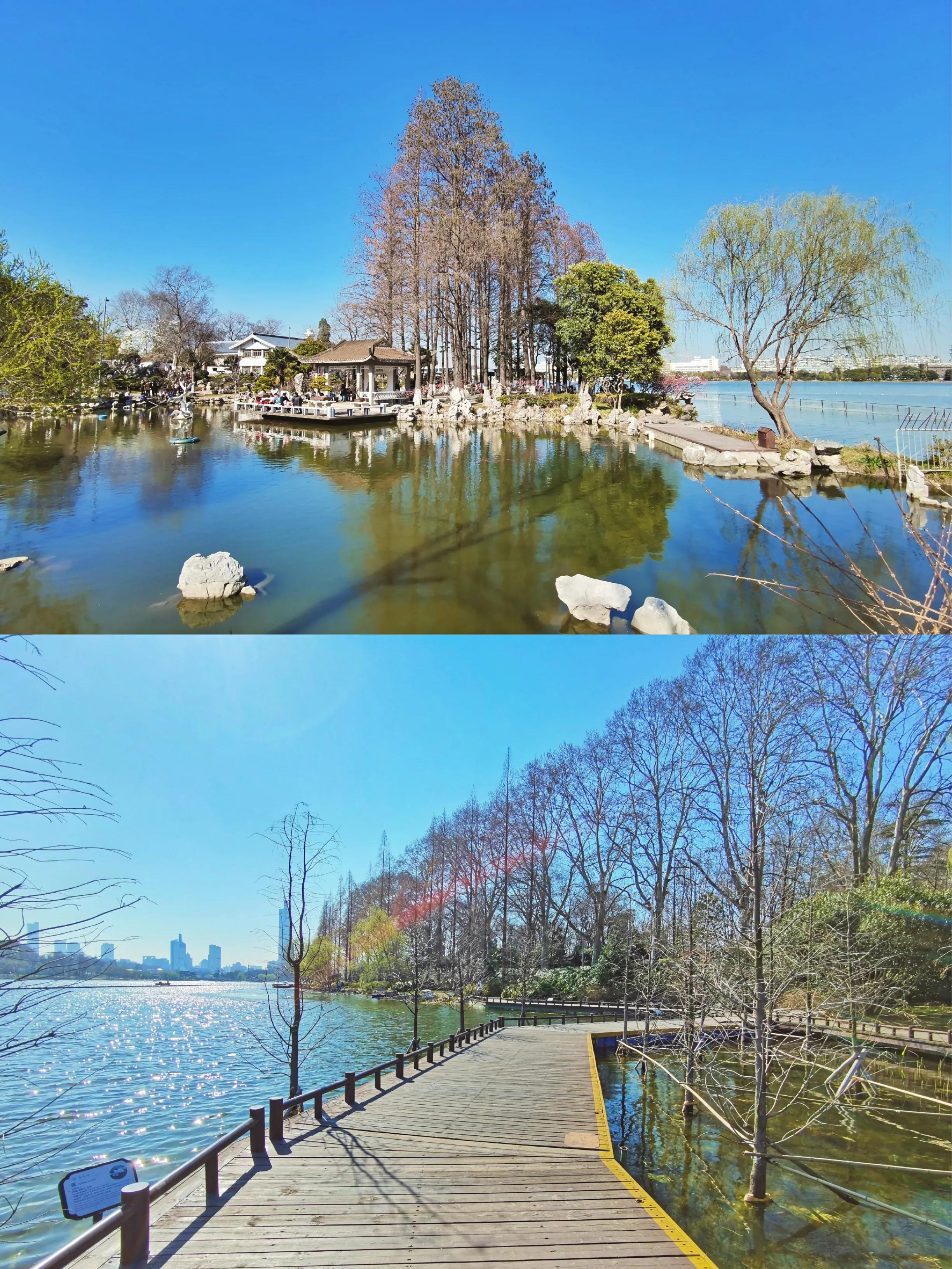 没有人可以拒绝冬天的大理,玄武湖的春天太美了