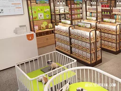 宠物店需要什么条件,重庆开宠物店需要什么条件