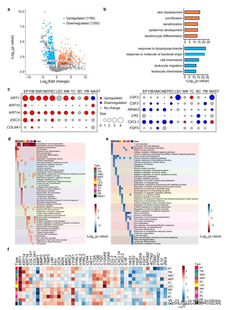 北京协和医院妇科朱兰视频,北京协和医院妇科专家朱兰