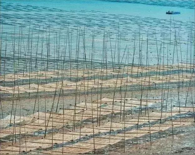 比厦门安静的地方,比厦门安静的海滨城市