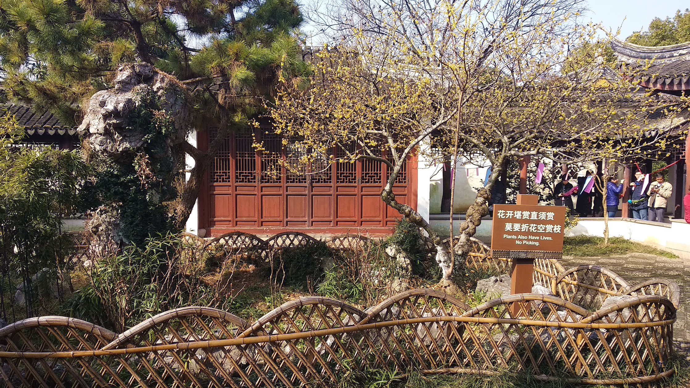 盘门景区哪里不用门票能进去看,苏州盘门景区周边景区