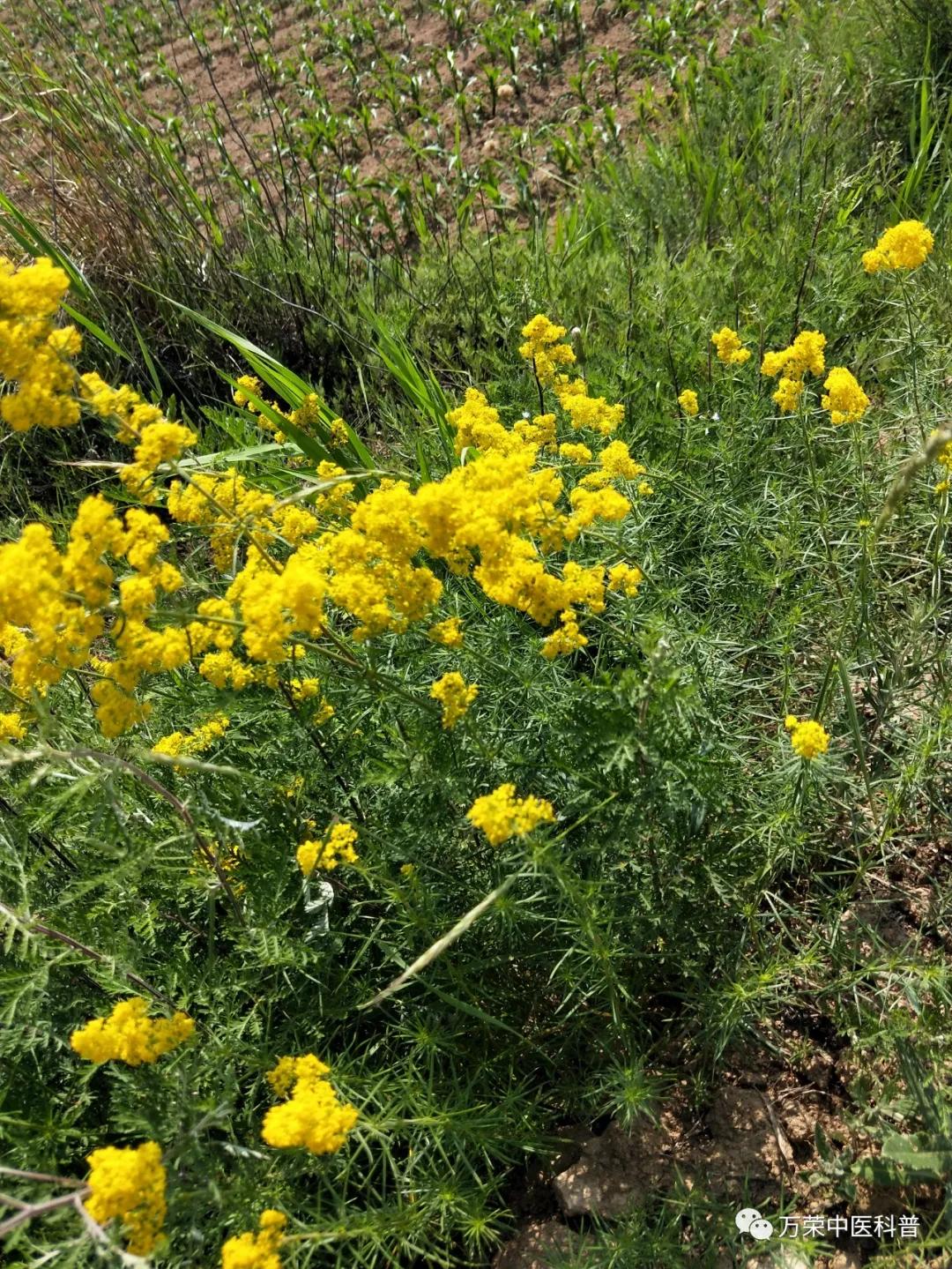 跟我回家在线免费看,跟我回家免费看