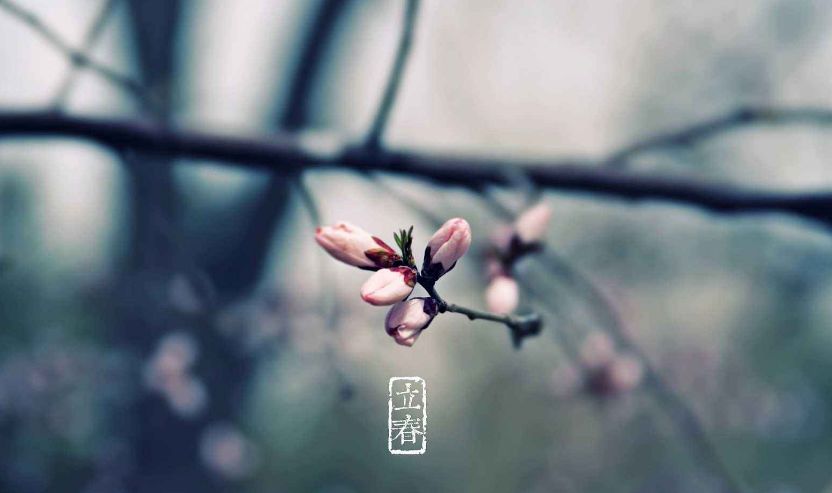古诗词中立春的诗词有哪些,写春的古诗赏析和感悟
