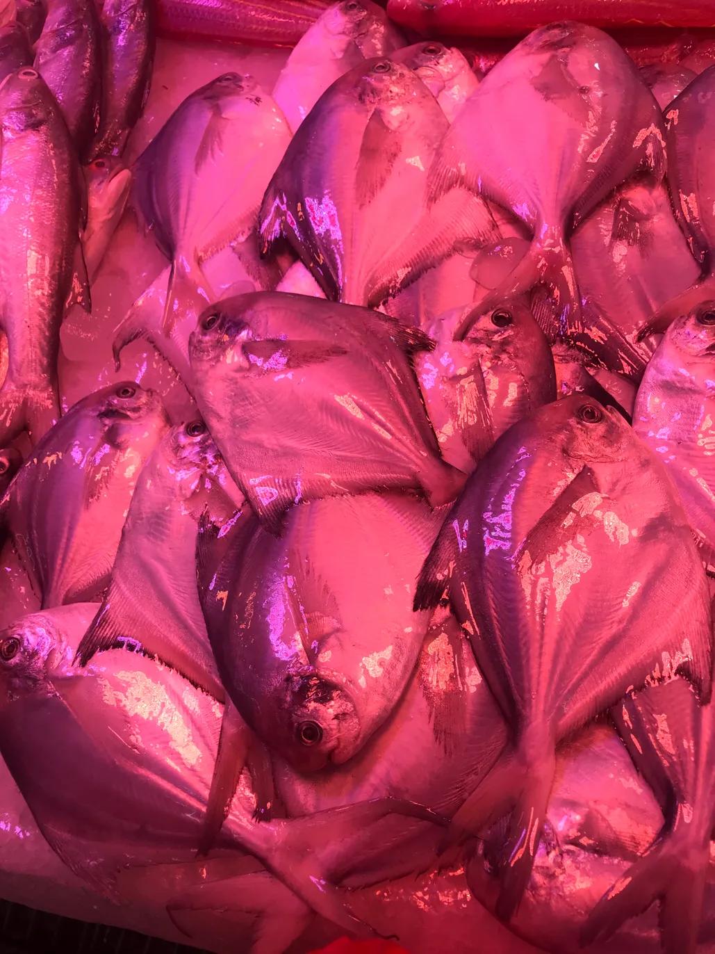 珠海斗门哪里海鲜便宜,吃货必去的海鲜城市