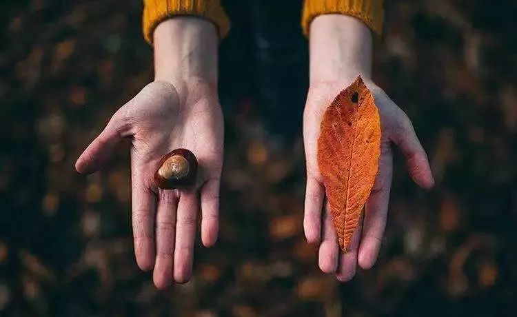 最新征稿启事稿费1000元至3000元,最低稿费征稿1500篇