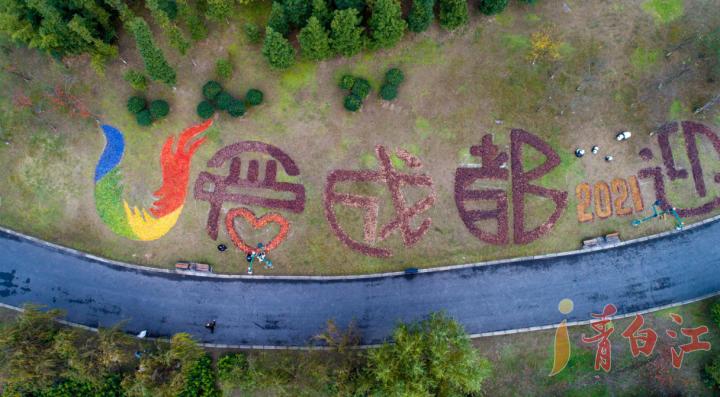 大运会会徽成都,成都大运会会徽图案