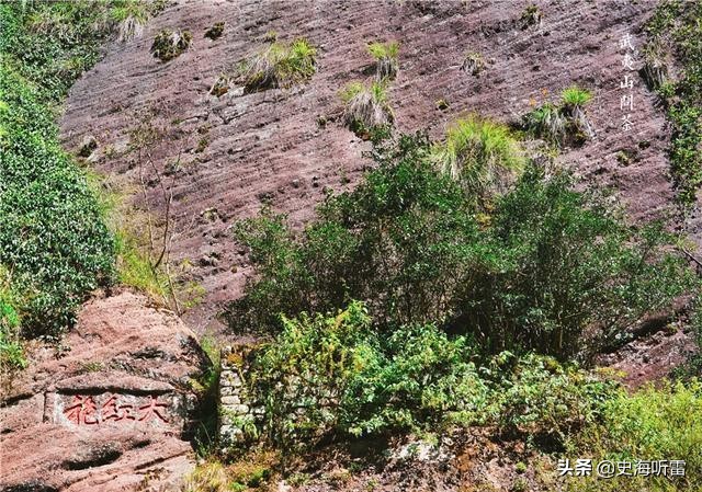 尼克松访华时毛*东泽**回赠他四件礼物，一件尼克松嫌少，三件看不懂