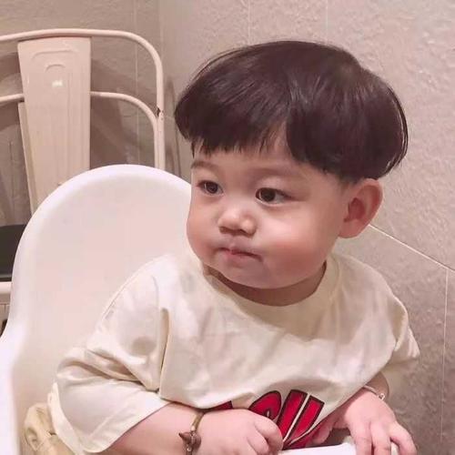 给金丝熊取名字又好听又可爱,2021新生婴儿起名大全免费