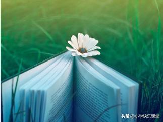 三年级换偏旁变新字再组词,三年级加偏旁变新字专项训练