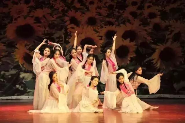 考多少分可以报山东财经大学,考山东财经大学要选什么