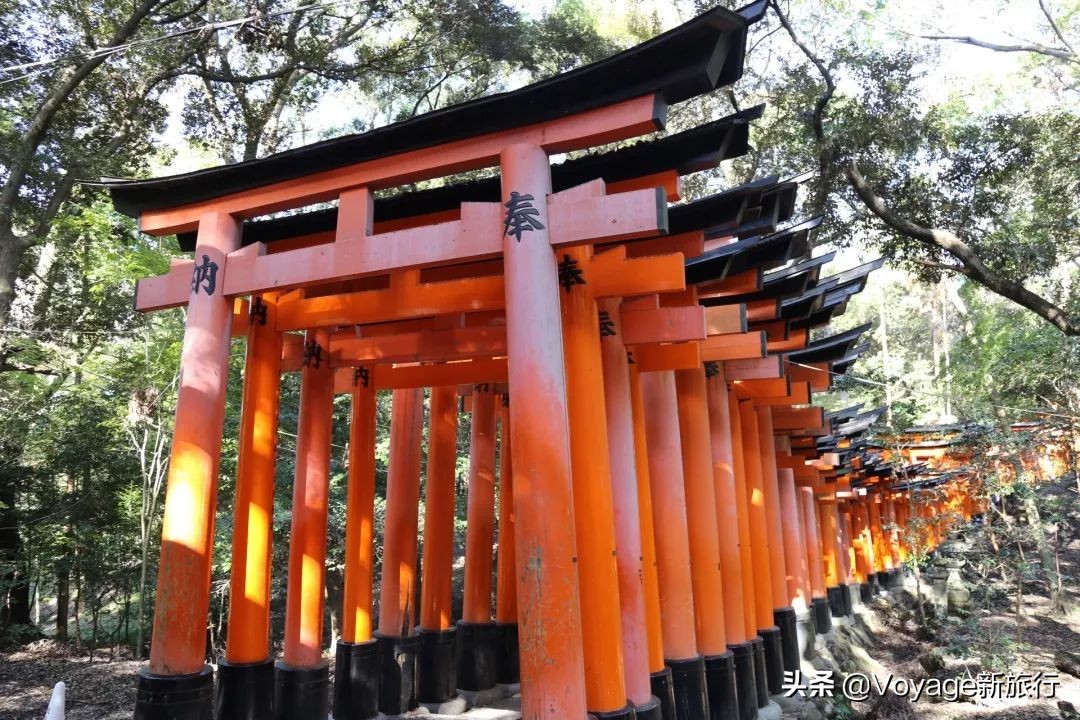 秋天来京都，体验「限定红」的“枫”情万种