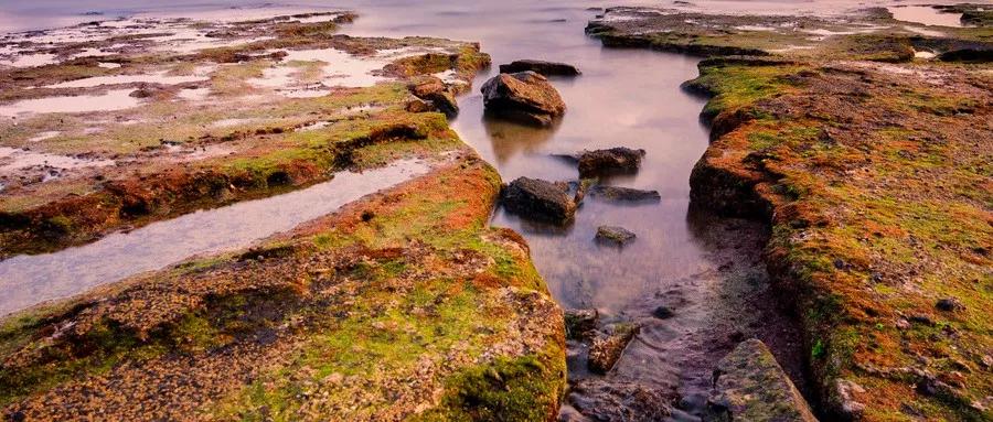 哪里的海岛比鼓浪屿好玩,跟鼓浪屿一样的小岛