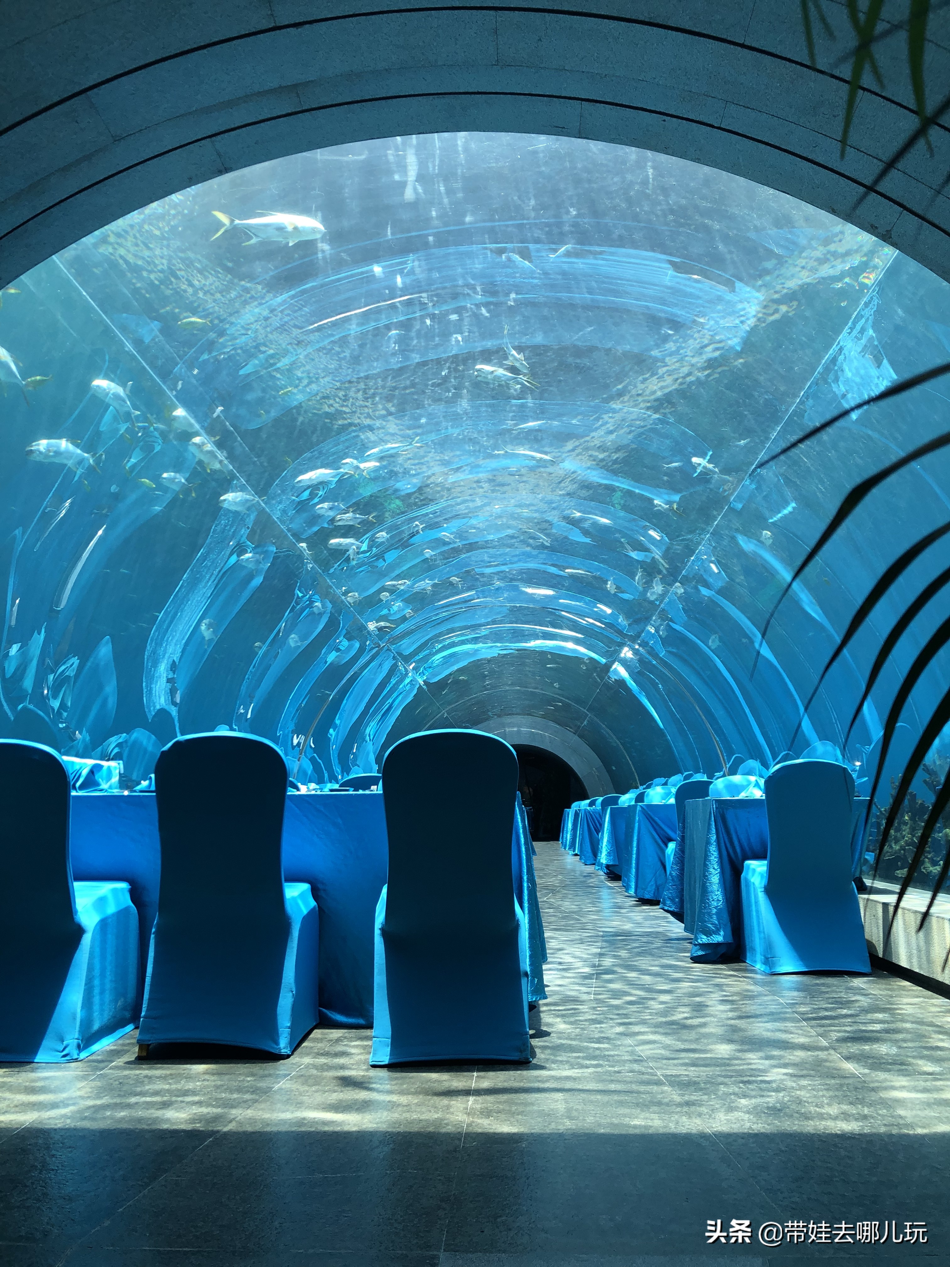 三亚洲际酒店海棠湾海底世界,三亚海棠湾三大顶级酒店