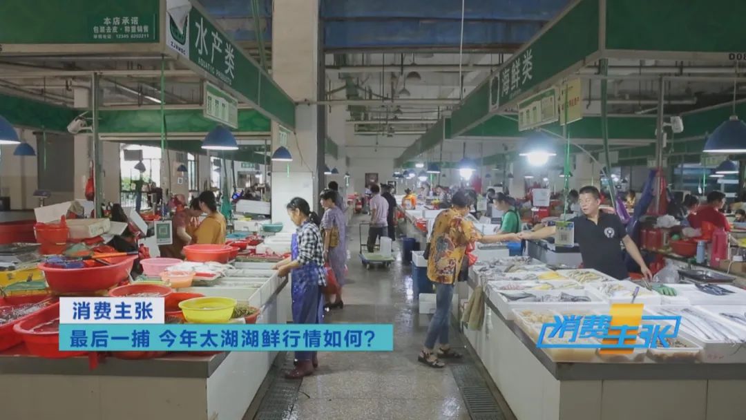 直击太湖开湖现场！鲜美湖鲜大量上市，资深吃货准备好了吗？