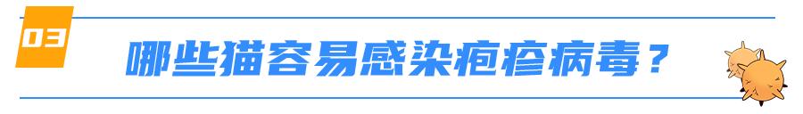 猫感染疱疹咳嗽,猫有眼屎打喷嚏怎么回事
