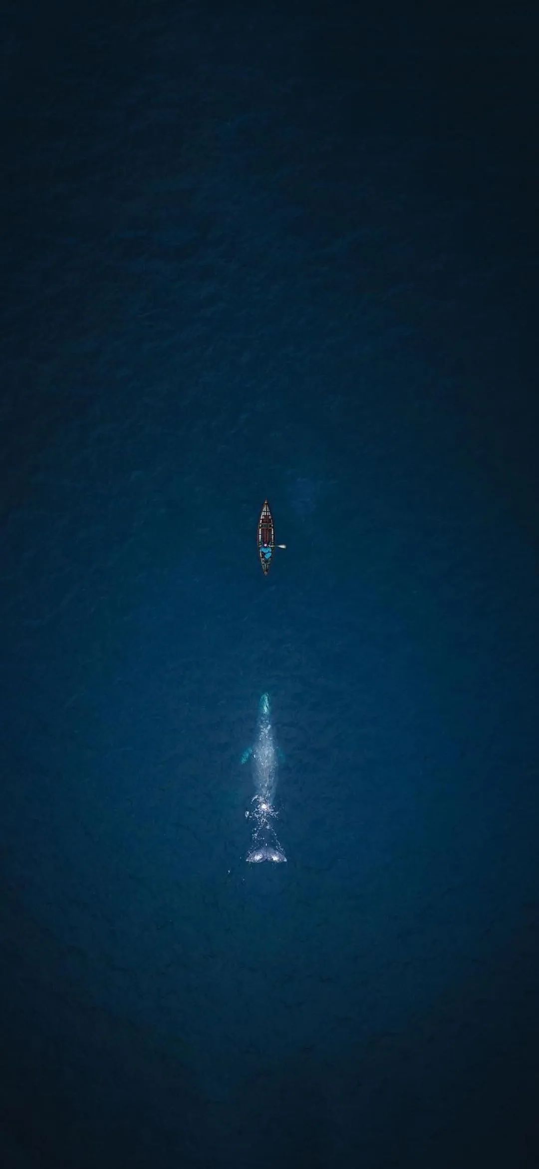 喜欢黑色系壁纸有谁愿意分享一下,黑暗系胆小慎入壁纸