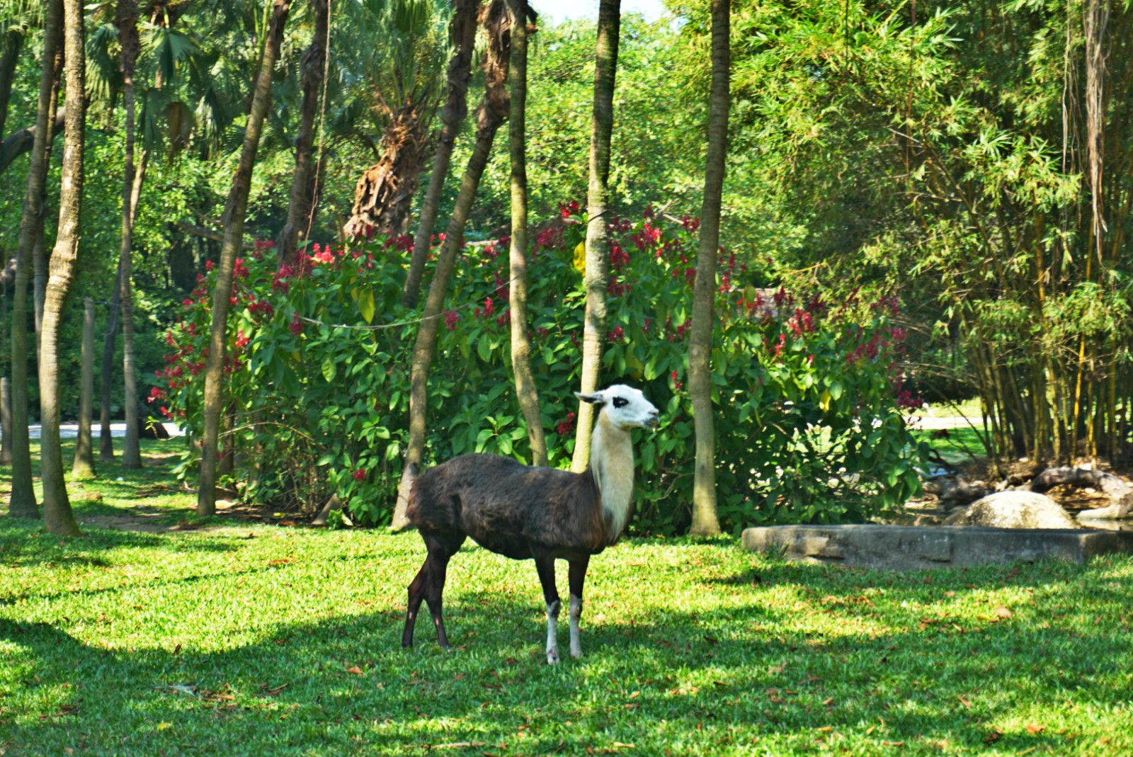 常州恐龙园和珠海长隆哪个好玩,珠海长隆海洋王国好玩吗
