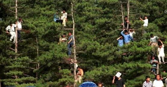 甲a十年回顾足球之夜,甲a为什么要打中超