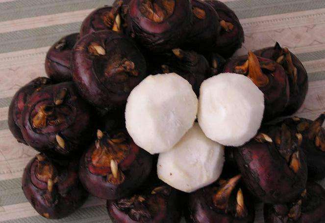 孕期谨慎吃的食物有什么,孕期怎么分辨食物能不能吃