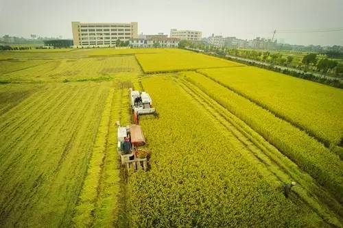 国家农业综合开发项目,农业综合开发产业