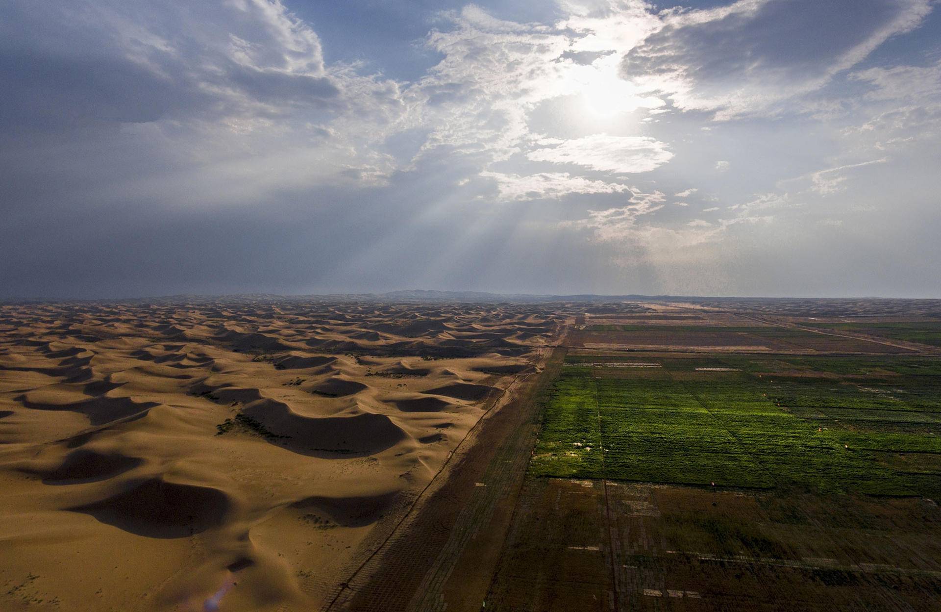 为什么阻止沙漠变成森林,如果沙漠全部变成森林地球会怎样