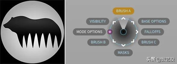 脱发过程3d动画,脱发有救了