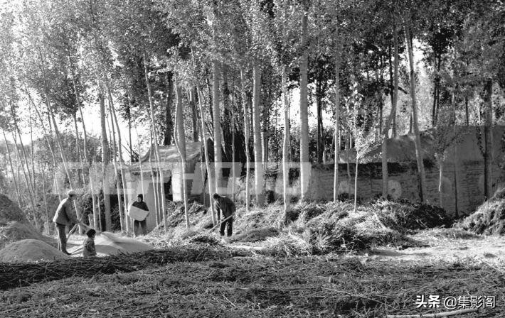 榆林市镇川镇老照片 (榆林市卫校老照片)