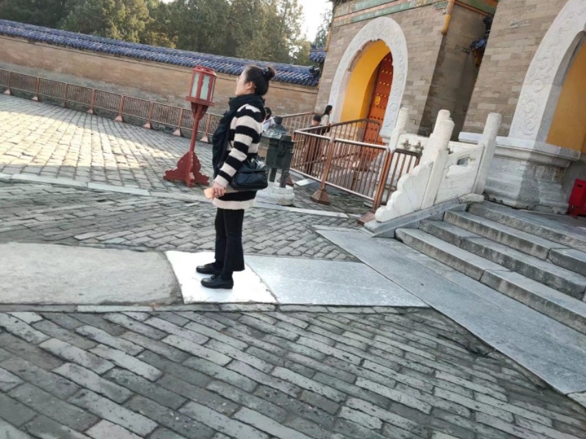 奇妙假日旅行,奇妙假期在哪里看