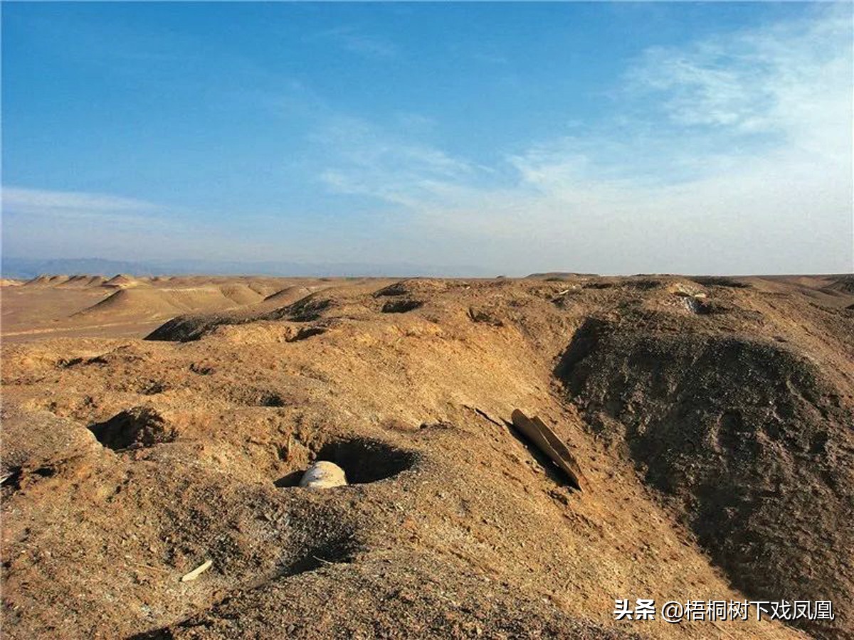 古墓现真容或为贵族墓,考古身高超高的尸骨