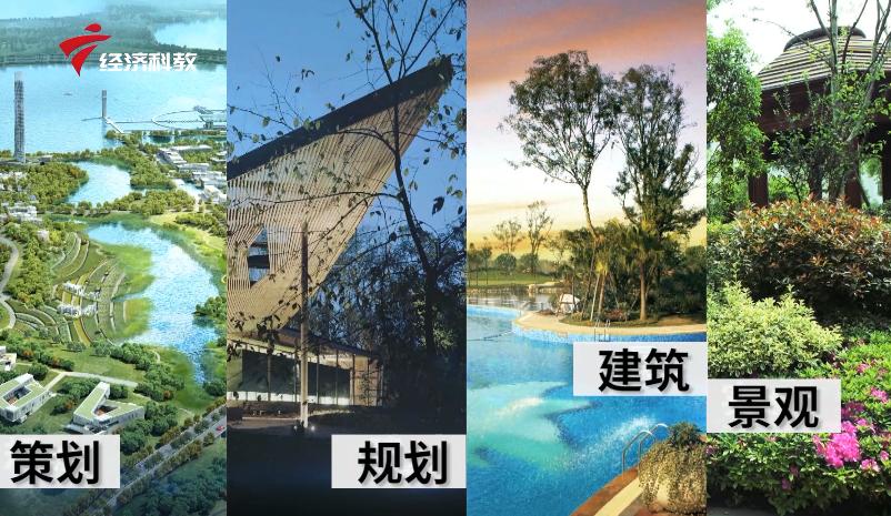 棕榈叶造型设计,棕榈设计公司怎么样