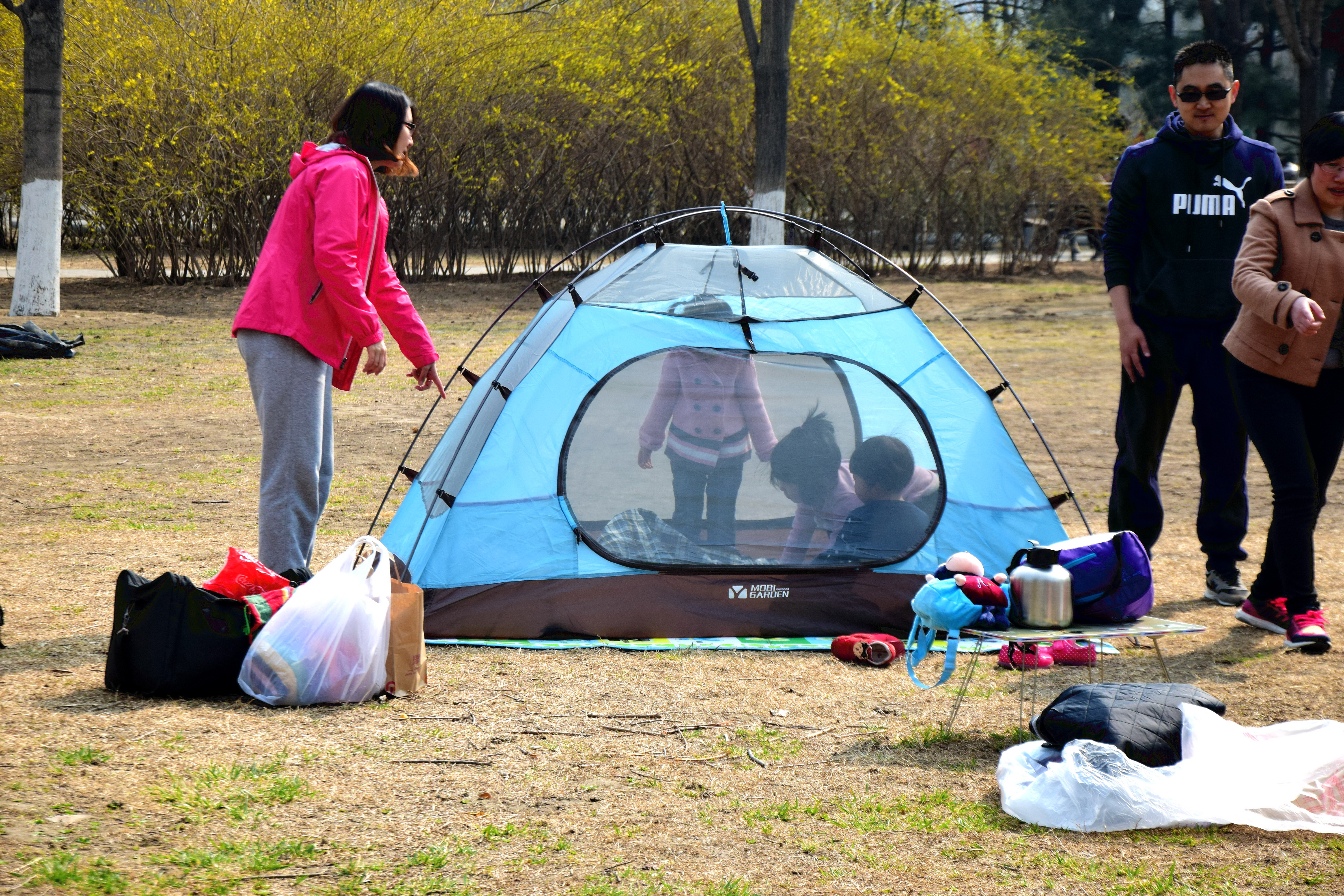 北京奥森让搭帐篷吗,奥森公园禁止营业吗