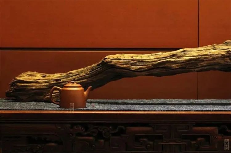 观|《衡天》施小马