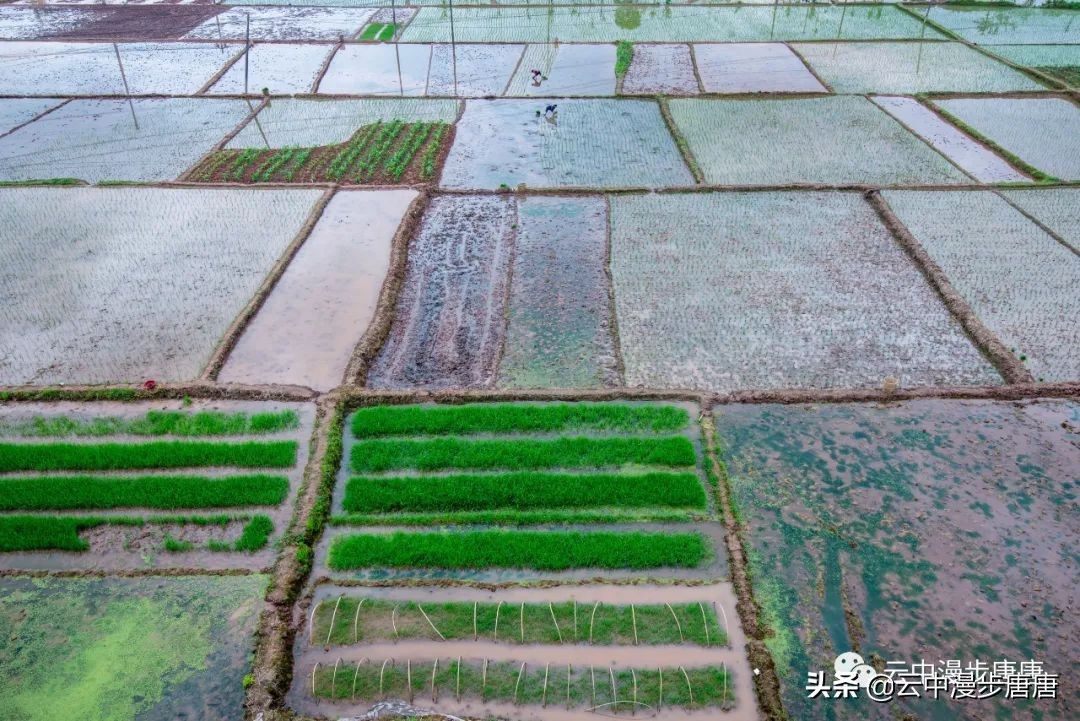 四川岳池坪滩旅游,岳池坪滩游玩攻略