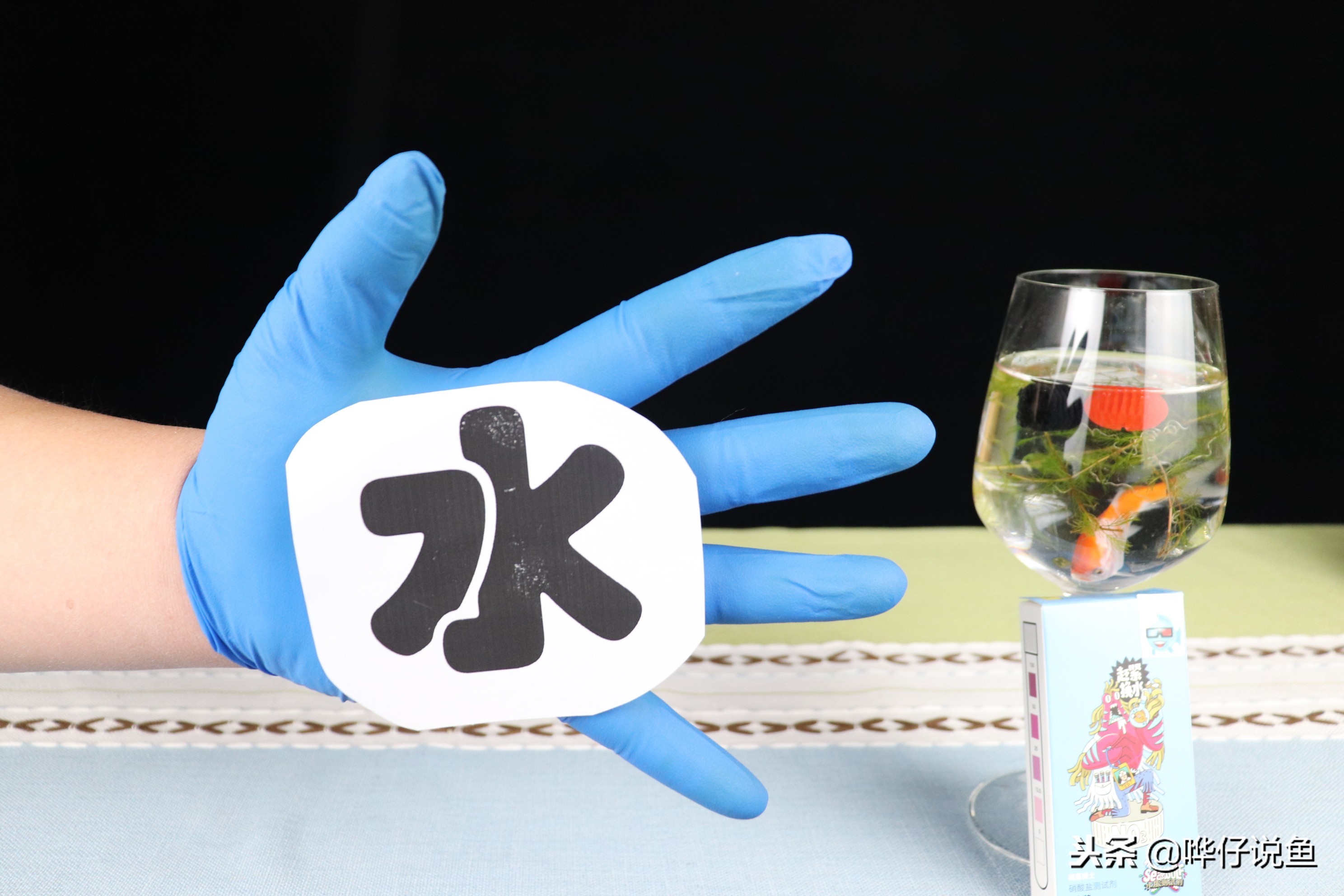 三个月不换水鱼能活吗,几个月不换水的鱼缸不长藻类