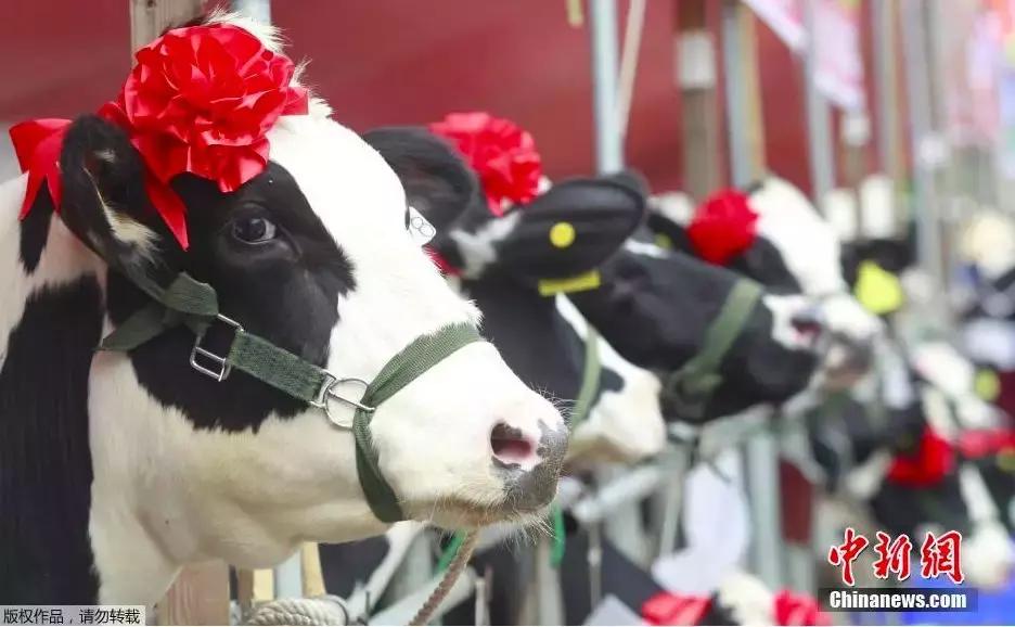 夏季警惕舌尖上的寄生虫,吃了不干净的东西哪里会有寄生虫