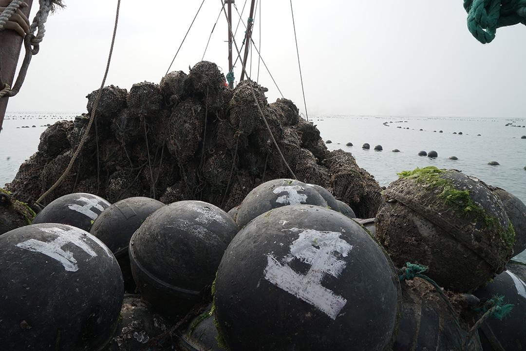 乳山生蚝怎么吃最好,乳山生蚝舌尖上的美食